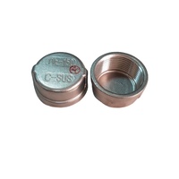 Tapa de Tubería de Acero Inoxidable Chico de Alta Calidad de 2-1/2 Pulgadas, 1 Año de Garantía, Embalaje Personalizado OEM/ODM, MOQ 100 Piezas para Diversas Industrias