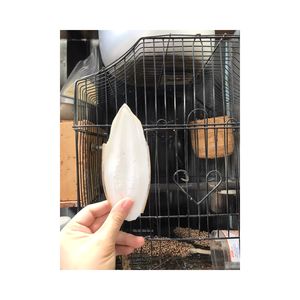 Suplemento de Calcio Natural de Calamar Seco para Aves, Favorece el Recorte del Pico y el Desarrollo de Huesos Fuertes - Product Image 6