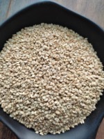프리미엄 천연 99% 순수 인도산 새 작물 참깨 25/50kg PP 포장 (에코 엑스포트 인디아)