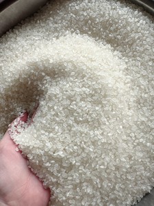 Riz Japonica du Vietnam Vilaconic - 5% de grains cassés - Riz parfumé de haute qualité pour la vente au détail en supermarché - Product Image 5