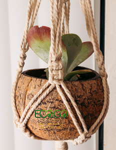 Pot de fleurs en coquille de noix de coco naturelle |   Pot de fleurs fait main pour plantes succulentes, herbes et jardinage intérieur/extérieur |   Eco2go Vietnam - Product Image 6