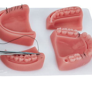 Kit de pratique de suture dentaire, kit de formation à la suture chirurgicale de haute qualité pour les dentistes et les étudiants en médecine - Product Image 6
