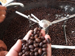 กาแฟโรบัสต้าคั่วบดพิเศษเกรดพรีเมียม, จัดจำหน่ายขายส่งโดยตรง, ได้รับการรับรองจาก USDA, แบล็คแอนด์บรัคเกิ้ล 0.1% - Product Image 2
