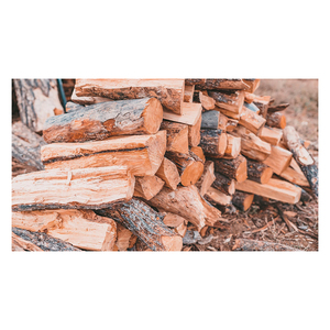 Troncos de madera de roble a precio económico procedentes de bosques de gestión sostenible - Product Image 4