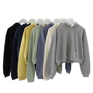 Sudadera con Capucha Corta de Color Crema, Corte Regular, Color Sólido, Informal, Tejida, con Cierre de Cordón, Manga Larga - Product Image 6