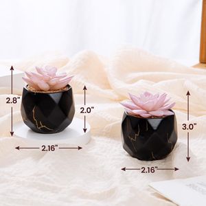 Piante Succulente Artificiali Carine con 2 Vasi in Ceramica Nera per Decorazione in Ufficio, Bagno, Cucina o Camera da Letto - Product Image 3