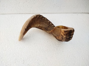 Shofar Pulido Hecho a Mano con Forma Natural de Cuerno de Carnero, Temática Animal, Coleccionable, para Ceremonias Religiosas por Curio Craft - Product Image 1