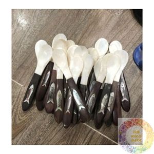 Cuchara de Concha Marina Hecha a Mano en Vietnam, Fabricante de Vajilla de Conchas Naturales para el Hogar, Cocina, Restaurantes y Tiendas de Regalos - Product Image 2