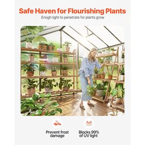 Serre de jardin en polycarbonate de style Alumi Pavilion 8 x 14 pieds avec 2 fenêtres de ventilation et porte à charnières, serre extérieure - Product Image 3