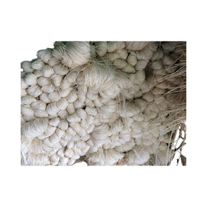 Núcleo redondo de ratán pulido, núcleo redondo de ratán de Vietnam de calidad superior para cestería de muebles y artesanía ecológica - Product Image 1