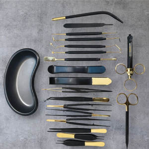 Gold Coated Dental Instrument Kit Surgical Grade Stainless Steel Precision Manual Tools Autoclavable CE Certified Dentavex - Product Image 1