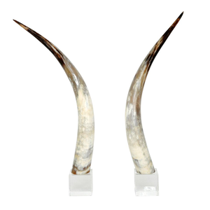Meilleure décoration murale de table en corne de buffle naturelle polie, écologique, taille personnalisable par HF CRAFTS - Product Image 6