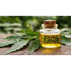 Huile de graines de Neem biologique et naturelle en gros pour la lutte antiparasitaire agricole - Product Image 4