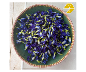 Thé en gros de fleurs de pois papillon séchées à l'air du Vietnam, 100g, sachet refermable - Product Image 1