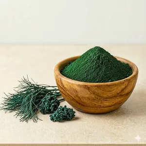 Espirulina en Polvo de Alta Calidad, Orgánica, Superalimento Natural, Desintoxicante, Energético, Rico en Hierro y Proteínas, Suplemento para la Salud, Venta al Por Mayor - Product Image 2