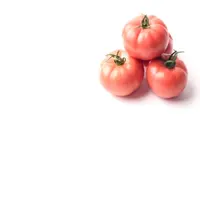 Organic Fresh Red Tomato, Green Tomato, Bulk Suppliers