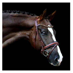 Brida de Cuero Marrón Duradera y Cómoda Rub International, Impresionante Banda Frontal de Cristal Color Ámbar Champán, Modelo 7860B para Caballo - Product Image 3
