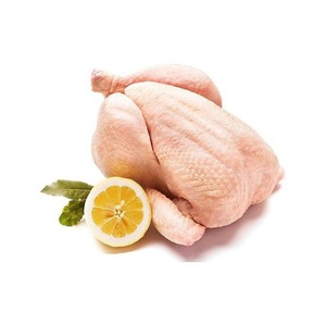 Vente en gros de poulet halal congelé de qualité supérieure, corps entier, provenant des États-Unis, en stock, livraison rapide et qualité constante - Product Image 2