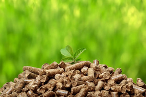 Fabricant, fournisseur et exportateur de briquettes de biomasse et de granulés de bois d'Inde pour usage industriel. - Product Image 2