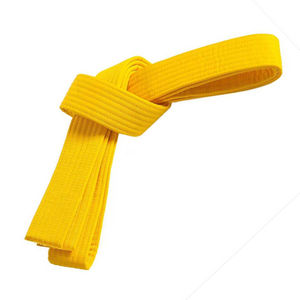 Ceinture de karaté sur mesure multicolore de haute qualité 2026, brodée avec votre propre logo – Équipement d'arts martiaux de grande valeur à faible coût - Product Image 3