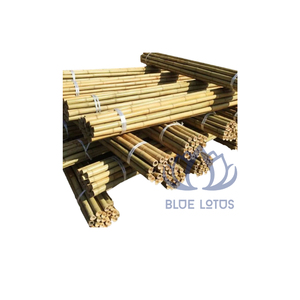 Disponible: Poste de Bambú Ecológico, Seguro y Limpio, Producto Puro de Planta, Ideal para Construcción y Manualidades, Precio Directo de Fábrica - Product Image 1