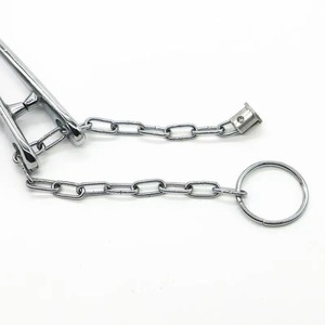 1 pièce Pince à nez de bovin en acier inoxydable avec chaîne, pour fixation et pénétration nasale, outil de perçage - Product Image 4