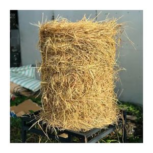 <b>High</b> Quality Rice Straw for Animals Feeding and <b>Bed</b> or Decoration - Product Image 3