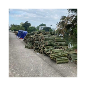 ไม้ไผ่เวียดนามที่เป็นมิตรกับสิ่งแวดล้อมสำหรับทำตะกร้า งานฝีมือ ชิ้นส่วนเฟอร์นิเจอร์ งานสาน และของตกแต่งบ้านที่ยั่งยืน - Product Image 2