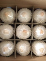 Verse Kokosnoten/Halfgepelde Kokosnoten/Kokosnoot Met Een Goede Prijs + 84765149122
