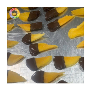 <b>Chocolate</b> Mango <b>Treat</b> Soft Dried Mango Slices Sweet Flavor for Retail Market, Tropical Fruit Mango Dipped Dark <b>Chocolate</b> - Product Image 1