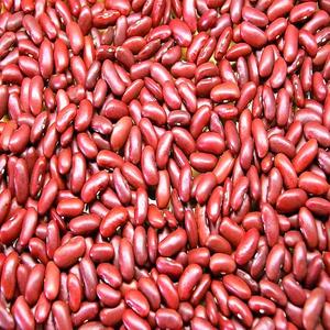 High Quality Healthy Care Red Kidney <b>Beans</b> Sale Best Quality Long Shape Dark Red Kidney <b>Bean</b> OEM/ODM Service for Global Buyers - Product Image 5