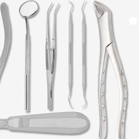 Kit d'instruments professionnels de laboratoire dentaire en acier inoxydable pour extraction dentaire, comprenant des élévateurs luxateurs et des outils dentaires courbés