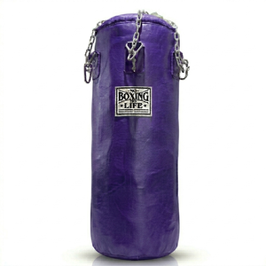 Durable Hanging Training Bag for Fitness Workout Home Gym Exercise Equipment for Daily Practice and Training - Product Image 2