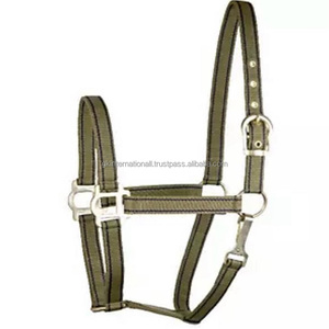 Custom Made 2 Tone Nylon Webbing Nylon Horse Halter in Many Colors & Custom Sizes Adjustable Brass Hardware and Accessories - Product Image 6