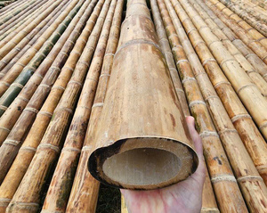 Pôles en bambou naturel pour la construction et le soutien des plantes de jardin, bâtons en bambou écologiques - Product Image 4