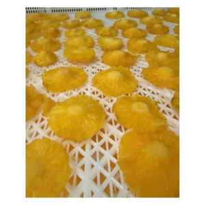 Ananas séché doux et moelleux, emballé sous vide, produit de fruits tropicaux pour les magasins de détail et les distributeurs de produits alimentaires - Product Image 3