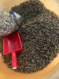 Larves de mouches soldat noires séchées - un excellent complément nutritionnel pour les animaux et les animaux domestiques (oiseaux, volailles, reptiles ou poissons) / Lima - Product Image 6