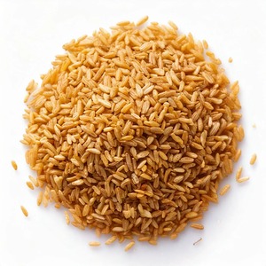 Granos de Cebada Natural en Oferta, Granos de Cebada Enteros Secos de Primera Calidad para Alimentación Animal, Disponibles a un Precio Accesible - Product Image 2