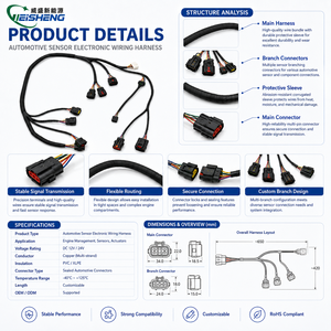 ODM OEM Klantspecifieke elektronische automotive kabelboom met gevlochten gaasbescherming TUV voor nylon omhulsel voor sensorintegratie - Product Image 3