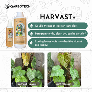 Harvast Plus, Spray para Plantas Ornamentales, Fertilizante Biológico con 99% de Pureza para Mejorar el Color y el Crecimiento de la Follaje, Exportación de Malasia - Product Image 2