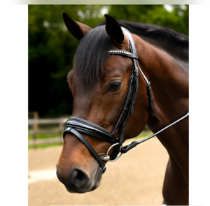 Brida de Cuero para Caballo Hecha a Mano de Primera Calidad al por Mayor con Riendas, Duradera, Cómoda y Transpirable, Equipo Ecuestre para Entrenamiento de Equitación - Product Image 2