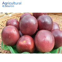 Top 1 Passievrucht-Vers Zure Zoete Smaak Tropisch Exotisch Fruit-Perfect Voor Dranken Passievrucht-Van Vietnam Fabriek