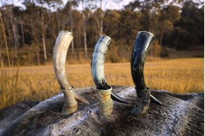 Corne de buffle polie artisanale, corne de guerre viking |   Corne à boire en corne de buffle, écologique et de qualité supérieure, style médiéval - Product Image 6