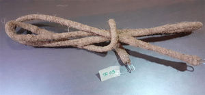 Excellent produit en fibre de coco pour plantes grimpantes, idéal pour terrariums, serpents, lézards, hamsters, amphibiens, reptiles, rongeurs, Sri Lanka - Product Image 2