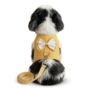 Fabricante Mayorista de Ropa para Mascotas al por Mayor, Camiseta Refrescante de Verano con Arnés, Ropa para Perros y Gatos, Disfraz Estampado, Chaleco, Camisa - Product Image 3