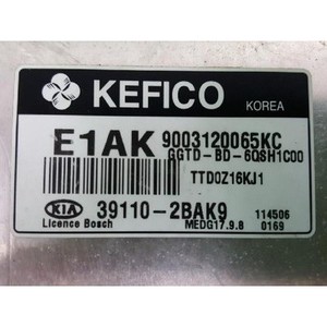 Módulo de Control del Motor Forte I, TD I Koup 2004-2013 Usado ORIGINAL 391102BAK9 - Product Image 5