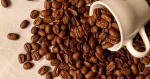 Vietnam Top Grade Coffee Factory Specialty Arabica Roasted and Ground USDA Organic, Black & Broken 0.1% only, Direct Export - Product Image 5