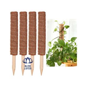 Poteau en fibre de coco écologique, très demandé |   Poteau de support pour plantes, simple, moderne, naturel, artisanal, pour accessoires de jardinage, en vrac - Product Image 1