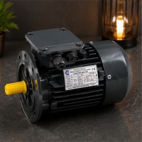 Moteur asynchrone triphasé Unicorn 1 kW, cadre 130 mm, montage à bride, 208-240 V, 1500 tr/min, IE2, moteur entièrement fermé pour pompes