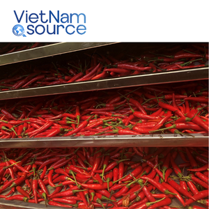 Chile Seco Vietnamita Fresco Directo, Precio Competitivo para Compra al por Mayor, Mejor Precio de Granja, Chile Seco Picante - Product Image 6